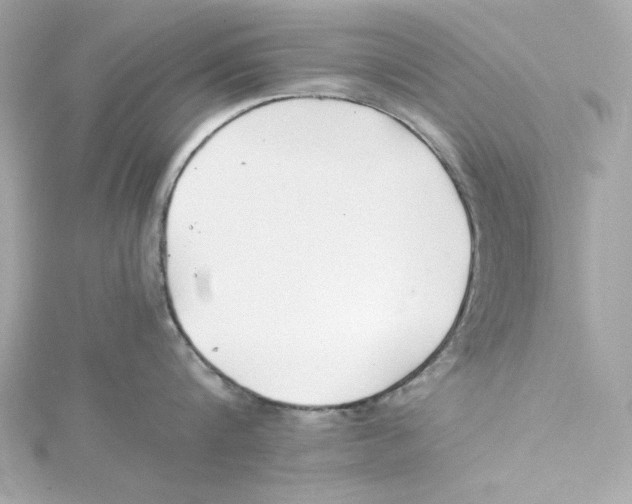 X0000115240816200911271842