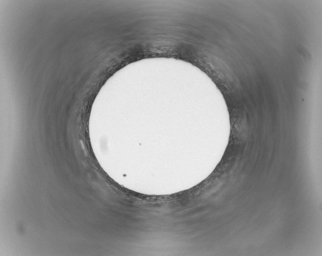 X0000115240817200911271841