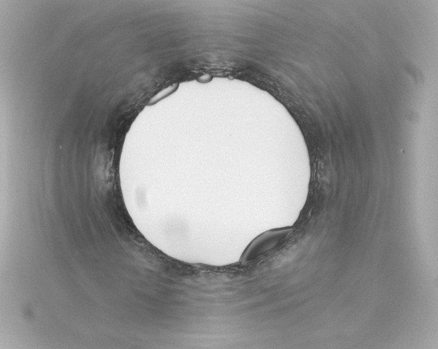 X0000115240818200911271841