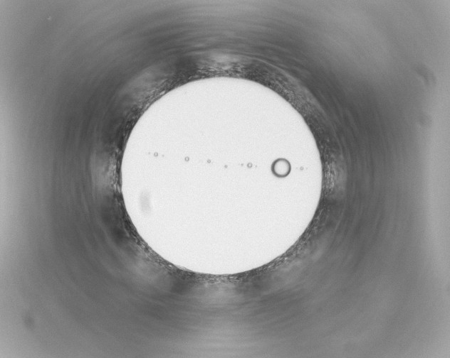 X0000115240820200911271841