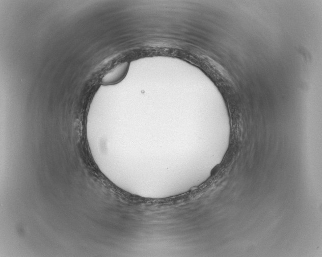 X0000115240821200911271841