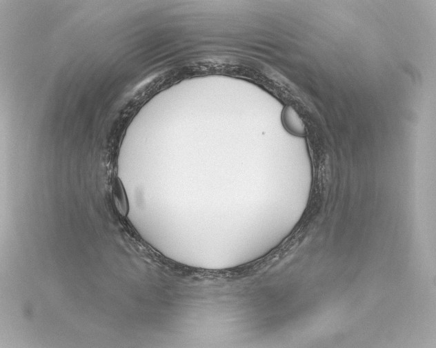 X0000115240822200911271841