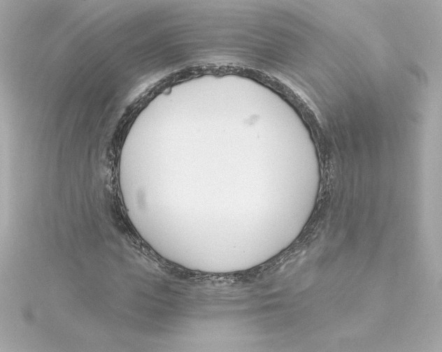 X0000115240823200911271841