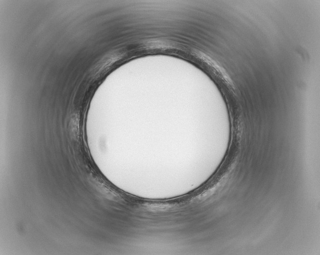 X0000115240825200911271841