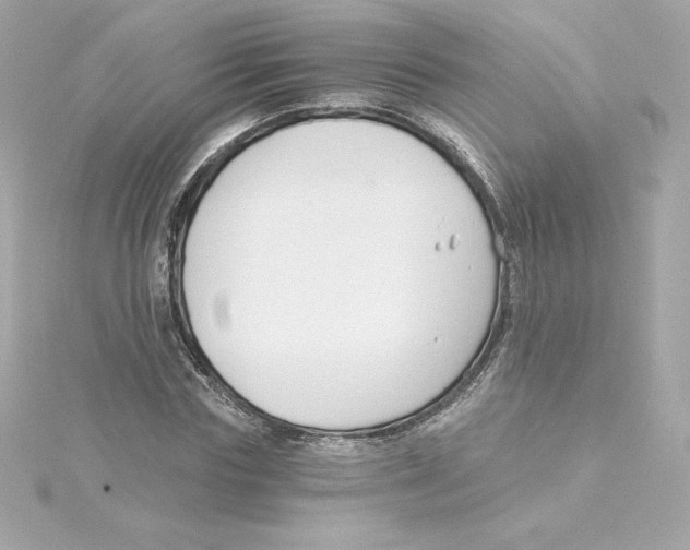 X0000115240827200911271841