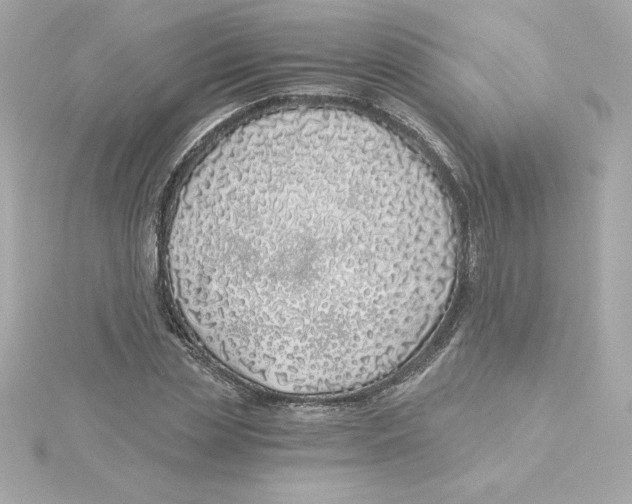 X0000115240829200911271841