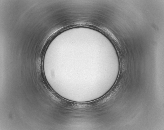 X0000115240831200911271841