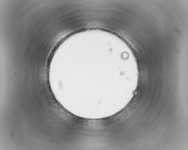 X0000115240832200911271841