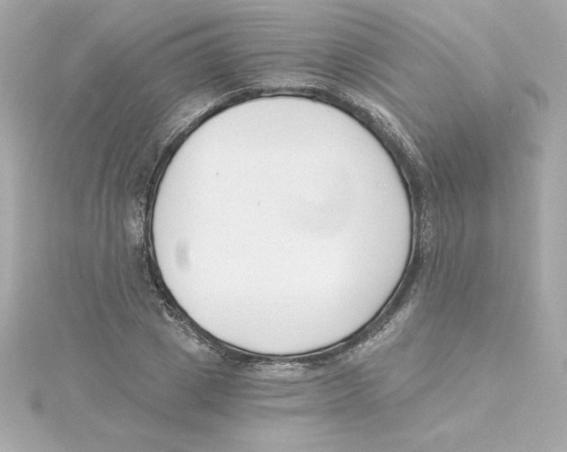 X0000115240833200911271841