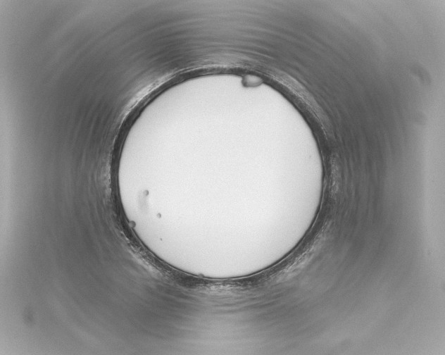 X0000115240834200911271841