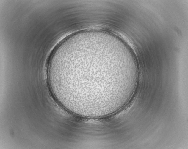 X0000115240835200911271841