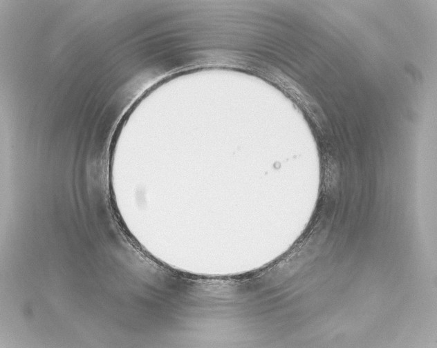 X0000115240836200911271841