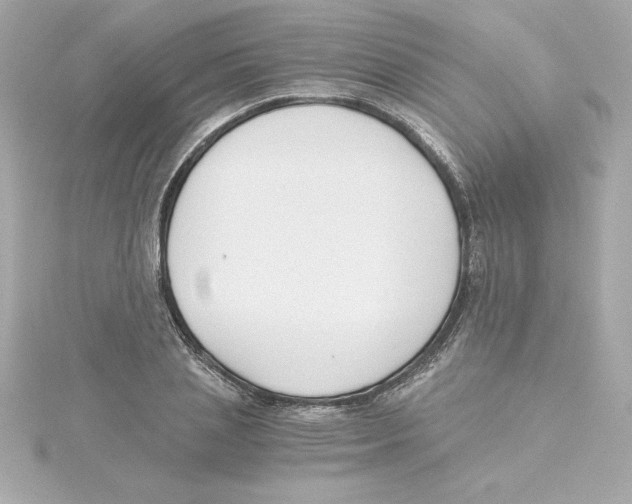 X0000115240837200911271841