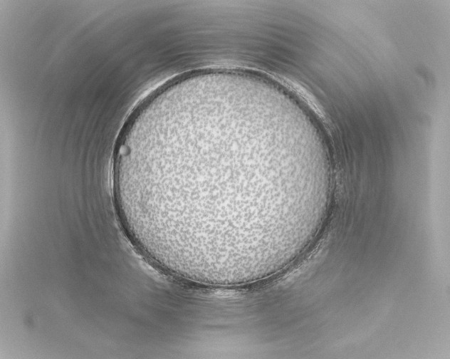 X0000115240839200911271841