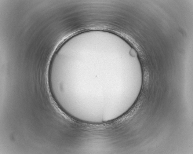 X0000115240840200911271841