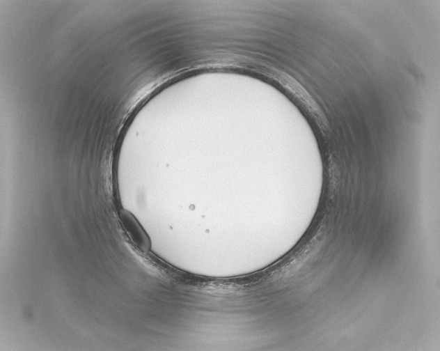 X0000115240842200911271841