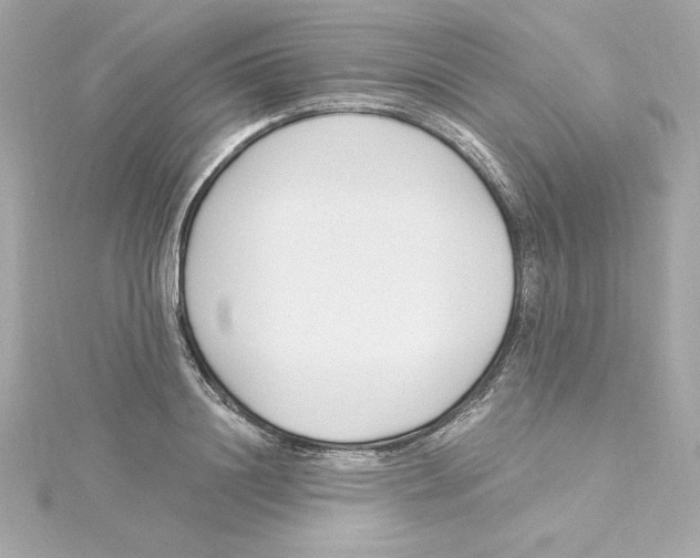 X0000115240844200911271841