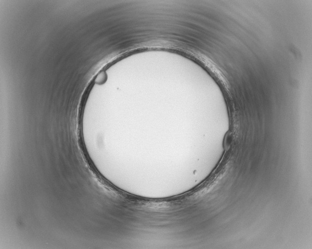 X0000115240845200911271841