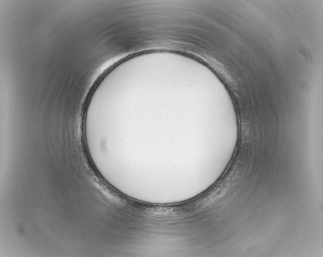 X0000115240846200911271841