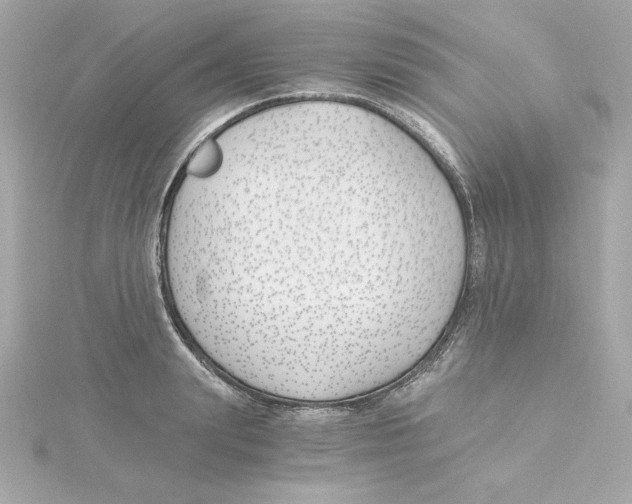 X0000115240847200911271841