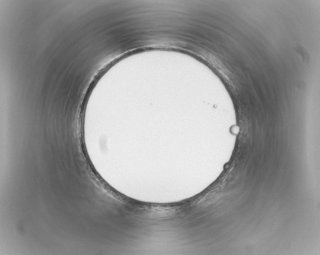 X0000115240848200911271841