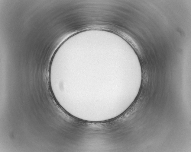 X0000115240852200911271841