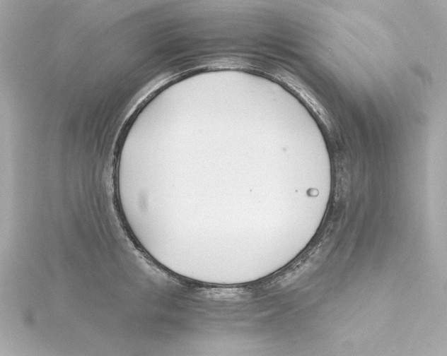 X0000115240853200911271841