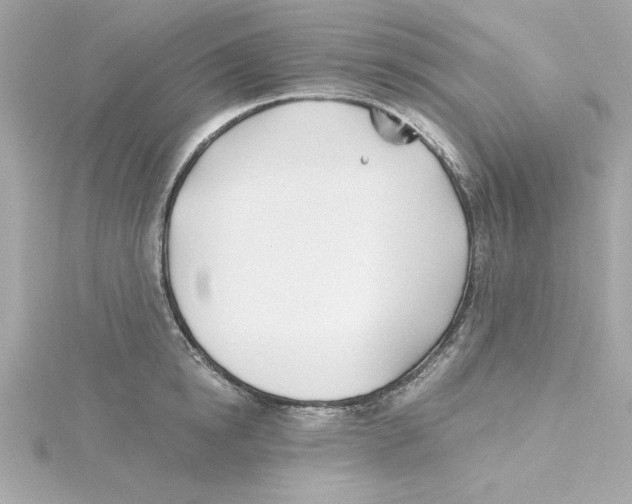 X0000115240854200911271841