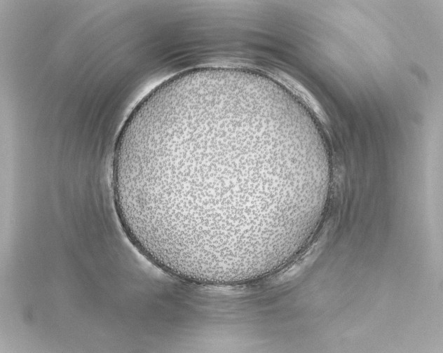 X0000115240855200911271841