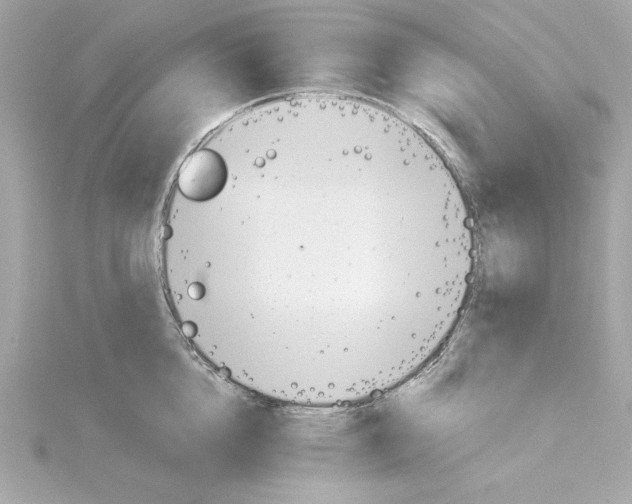 X0000115240856200911271841