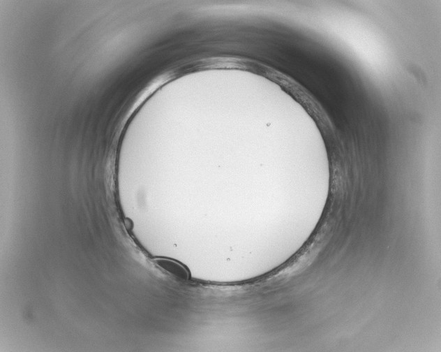 X0000115240860200911271842