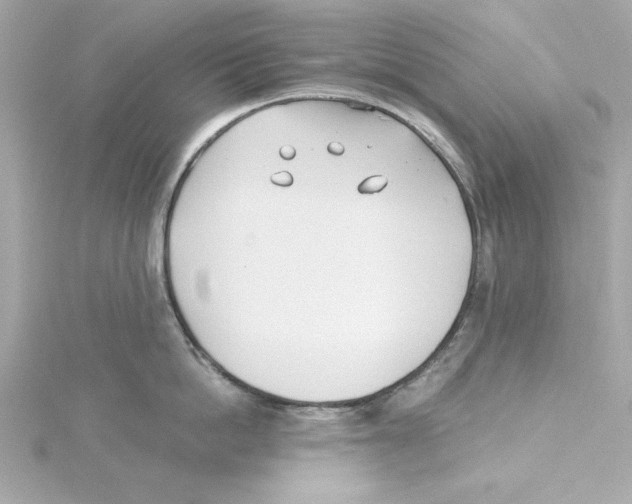 X0000115240862200911271842