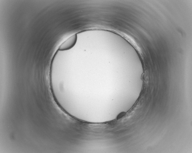 X0000115240863200911271842