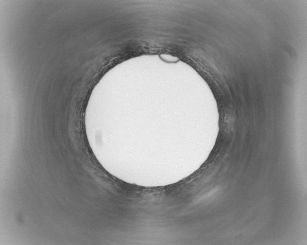 X0000115240865200911271841