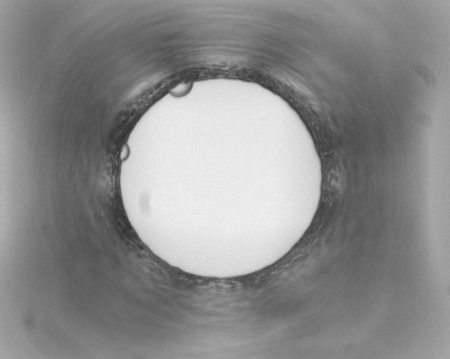 X0000115240869200911271841