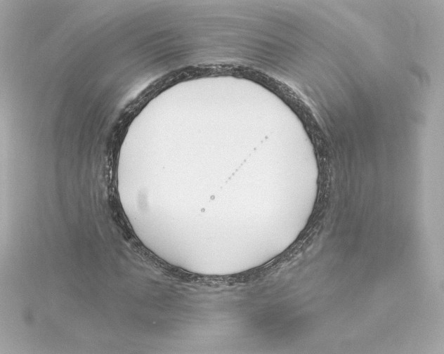 X0000115240871200911271841