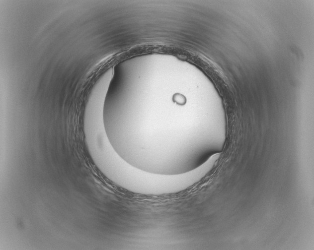 X0000115240872200911271841