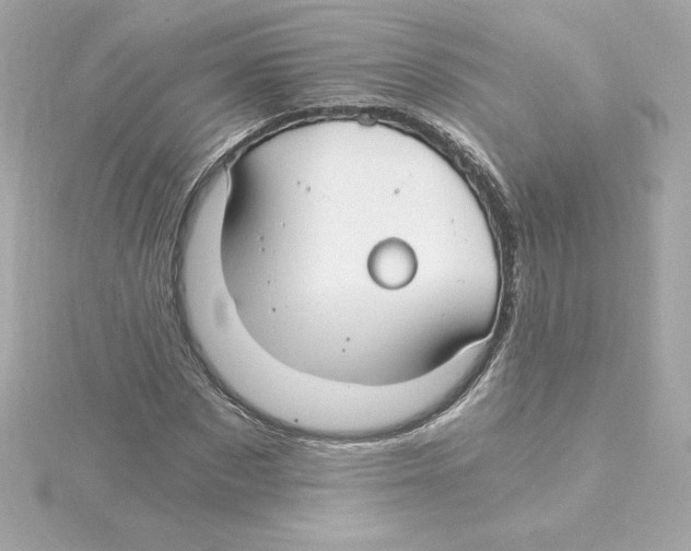 X0000115240873200911271841