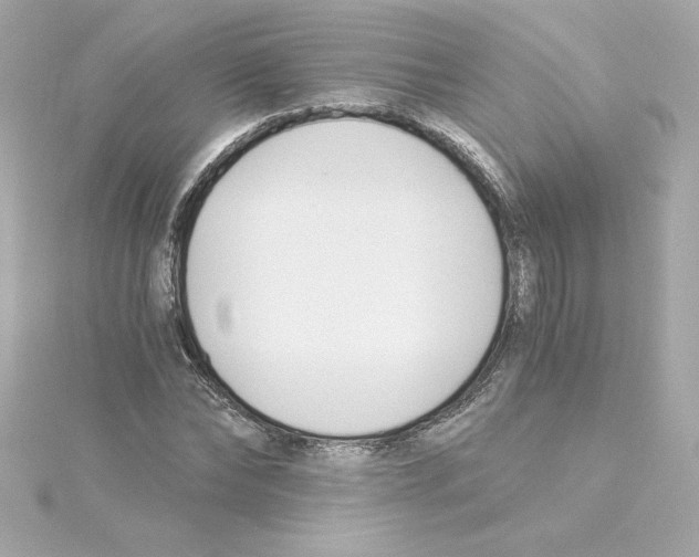 X0000115240878200911271841