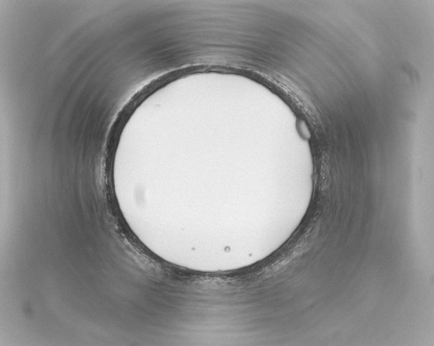 X0000115240880200911271841