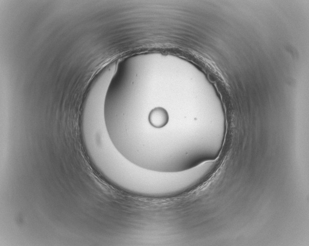 X0000115240881200911271841