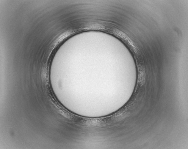 X0000115240882200911271841