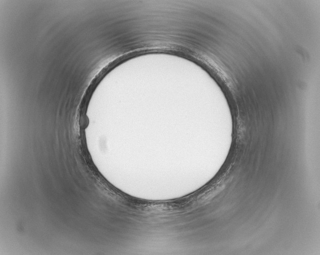 X0000115240883200911271841