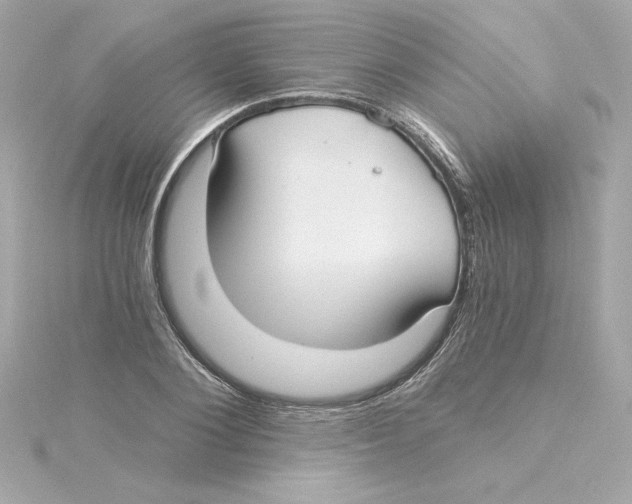 X0000115240884200911271841