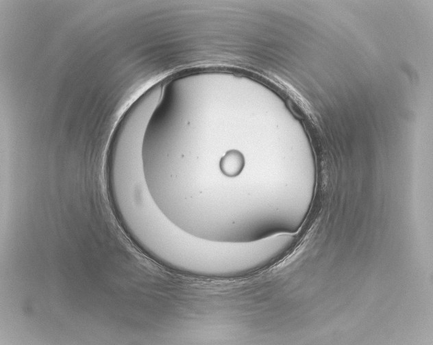 X0000115240885200911271841