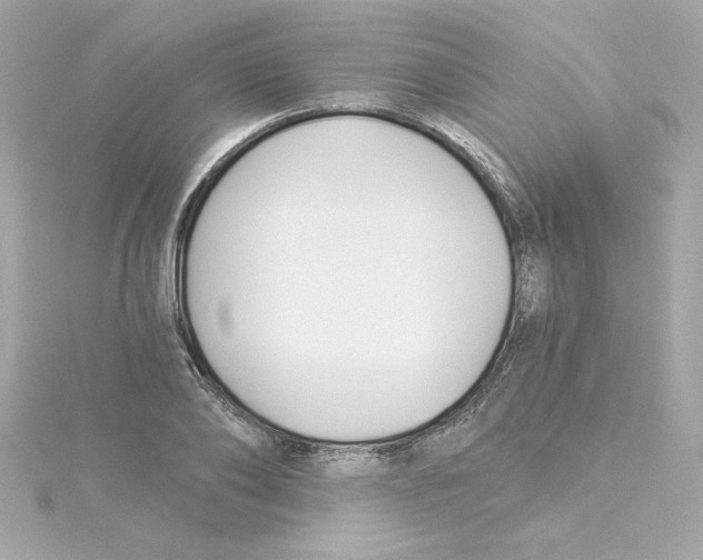 X0000115240886200911271841