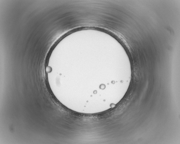 X0000115240887200911271841