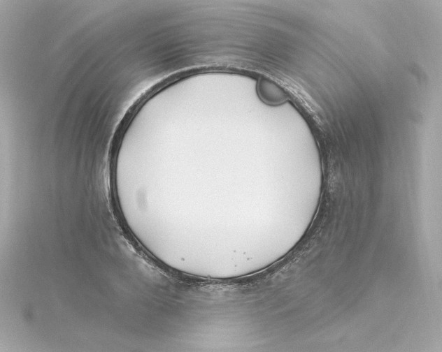 X0000115240888200911271841