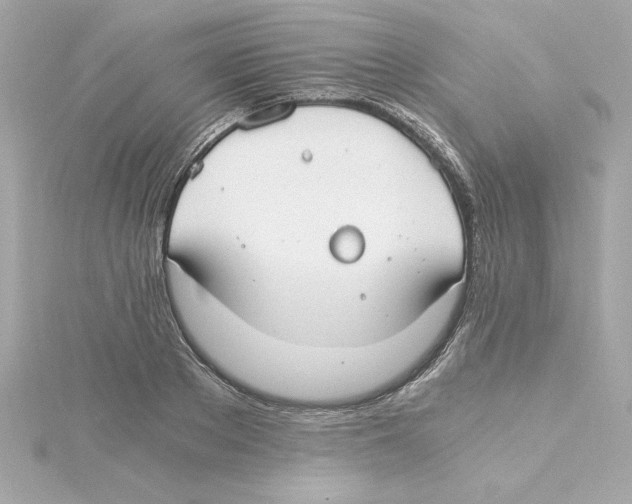 X0000115240889200911271841