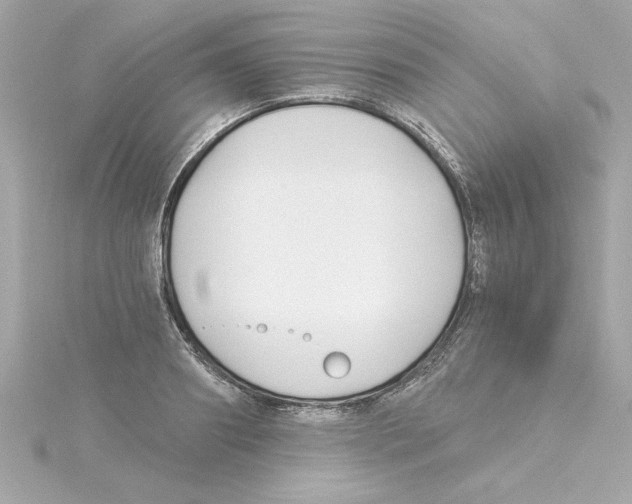 X0000115240890200911271841